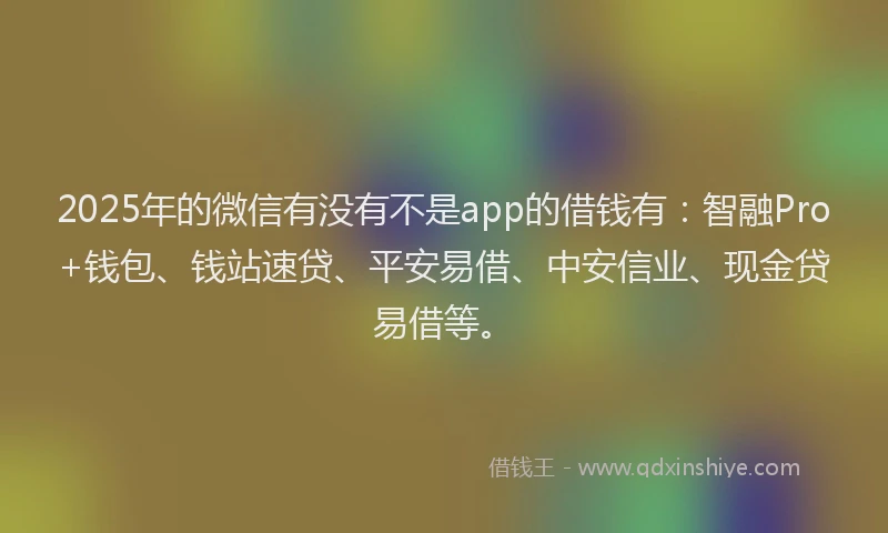2025年的微信有没有不是app的借钱有：智融Pro+钱包、钱站速贷、平安易借、中安信业、现金贷易借等。