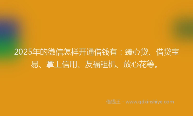 2025年的微信怎样开通借钱有：臻心贷、借贷宝易、掌上信用、友福租机、放心花等。