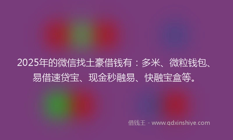 2025年的微信找土豪借钱有：多米、微粒钱包、易借速贷宝、现金秒融易、快融宝盒等。