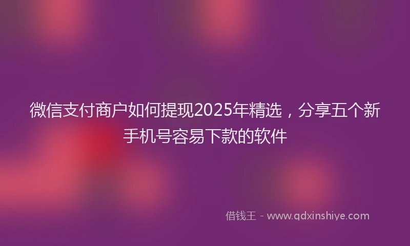 微信支付商户如何提现2025年精选，分享五个新手机号容易下款的软件