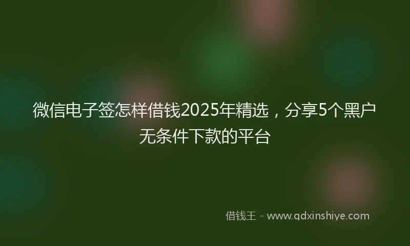 微信电子签怎样借钱2025年精选，分享5个黑户无条件下款的平台
