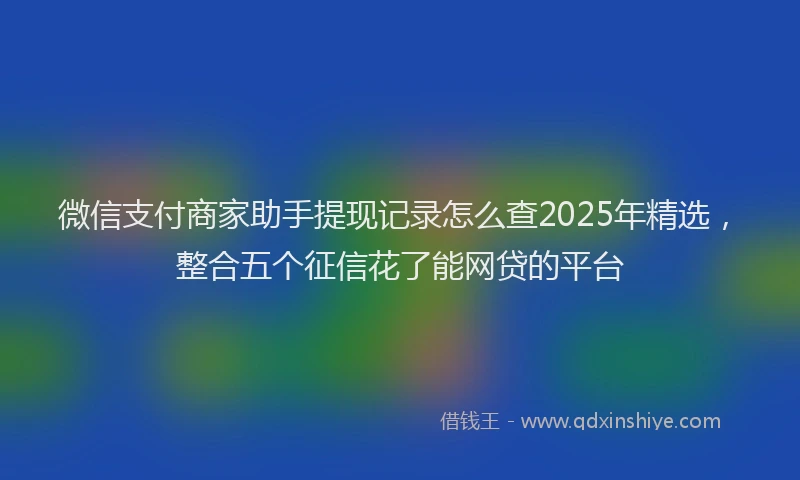 微信支付商家助手提现记录怎么查2025年精选，整合五个征信花了能网贷的平台