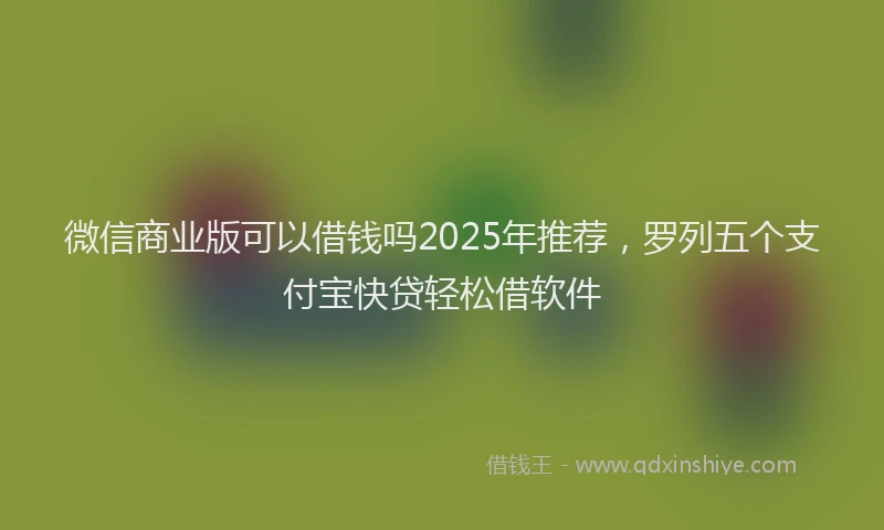 微信商业版可以借钱吗2025年推荐，罗列五个支付宝快贷轻松借软件