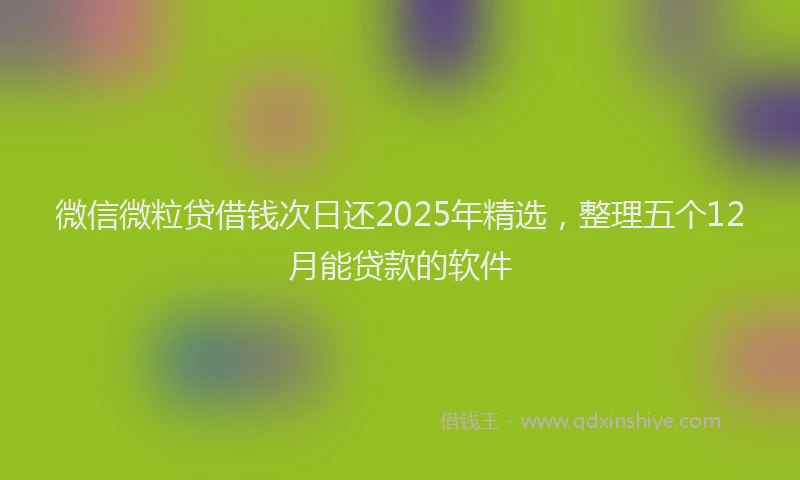 微信微粒贷借钱次日还2025年精选，整理五个12月能贷款的软件