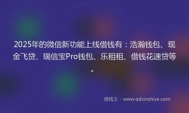 2025年的微信新功能上线借钱有：浩瀚钱包、现金飞贷、瑞信宝Pro钱包、乐租租、借钱花速贷等。