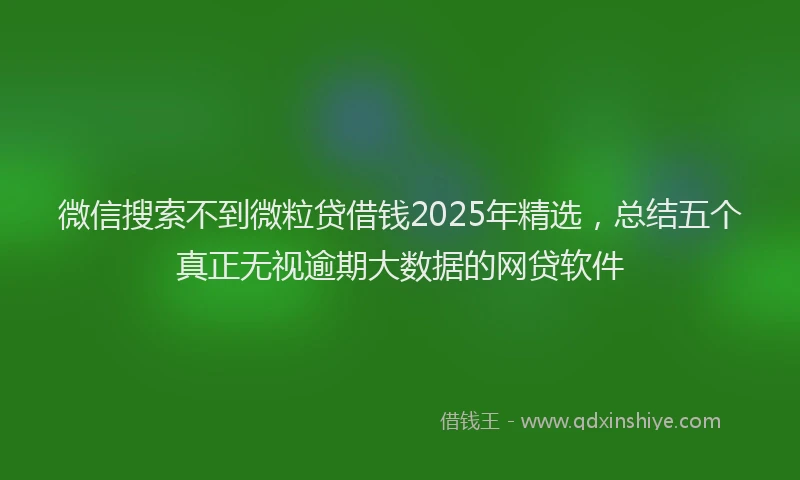 微信搜索不到微粒贷借钱2025年精选，总结五个真正无视逾期大数据的网贷软件