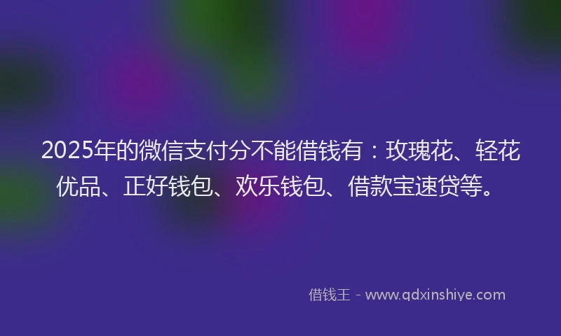 2025年的微信支付分不能借钱有：玫瑰花、轻花优品、正好钱包、欢乐钱包、借款宝速贷等。