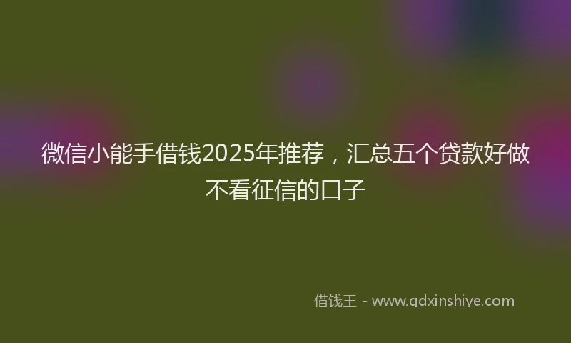 微信小能手借钱2025年推荐，汇总五个贷款好做不看征信的口子
