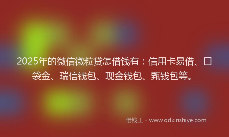 2025年的微信微粒贷怎借钱有：信用卡易借、口袋金、瑞信钱包、现金钱包、甄钱包等。