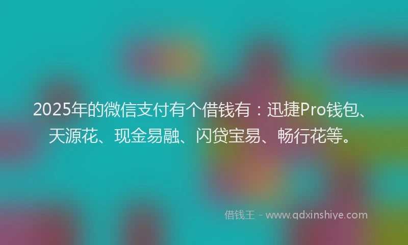 2025年的微信支付有个借钱有：迅捷Pro钱包、天源花、现金易融、闪贷宝易、畅行花等。