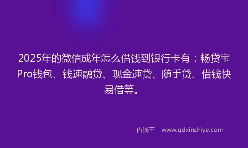 2025年的微信成年怎么借钱到银行卡有：畅贷宝Pro钱包、钱速融贷、现金速贷、随手贷、借钱快易借等。