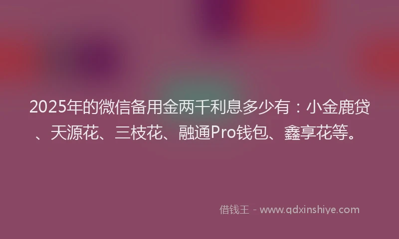 2025年的微信备用金两千利息多少有：小金鹿贷、天源花、三枝花、融通Pro钱包、鑫享花等。