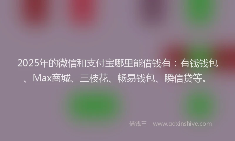 2025年的微信和支付宝哪里能借钱有：有钱钱包、Max商城、三枝花、畅易钱包、瞬信贷等。