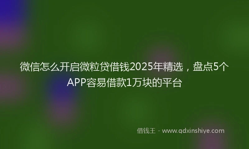 微信怎么开启微粒贷借钱2025年精选，盘点5个APP容易借款1万块的平台