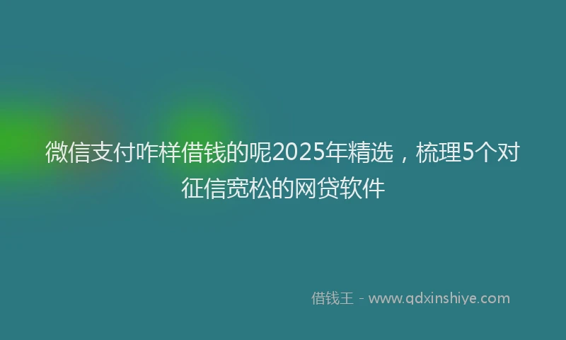 微信支付咋样借钱的呢2025年精选，梳理5个对征信宽松的网贷软件