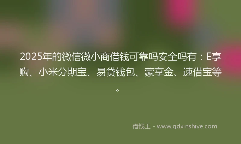 2025年的微信微小商借钱可靠吗安全吗有：E享购、小米分期宝、易贷钱包、蒙享金、速借宝等。