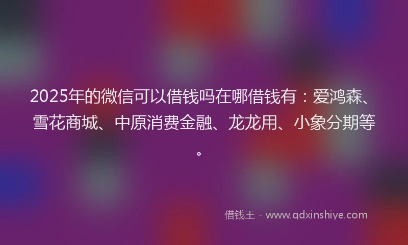 2025年的微信可以借钱吗在哪借钱有：爱鸿森、雪花商城、中原消费金融、龙龙用、小象分期等。