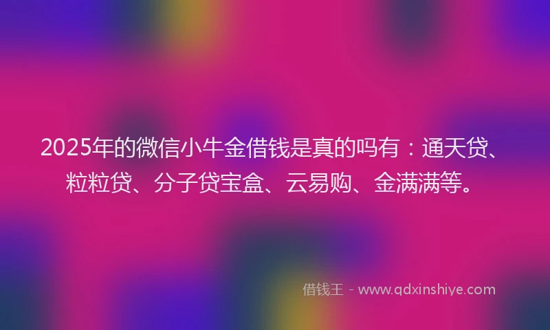 2025年的微信小牛金借钱是真的吗有：通天贷、粒粒贷、分子贷宝盒、云易购、金满满等。