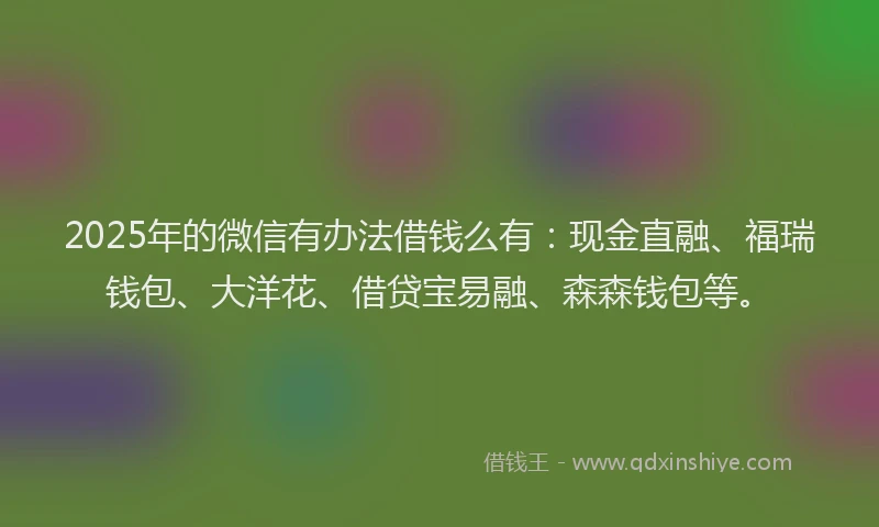2025年的微信有办法借钱么有：现金直融、福瑞钱包、大洋花、借贷宝易融、森森钱包等。