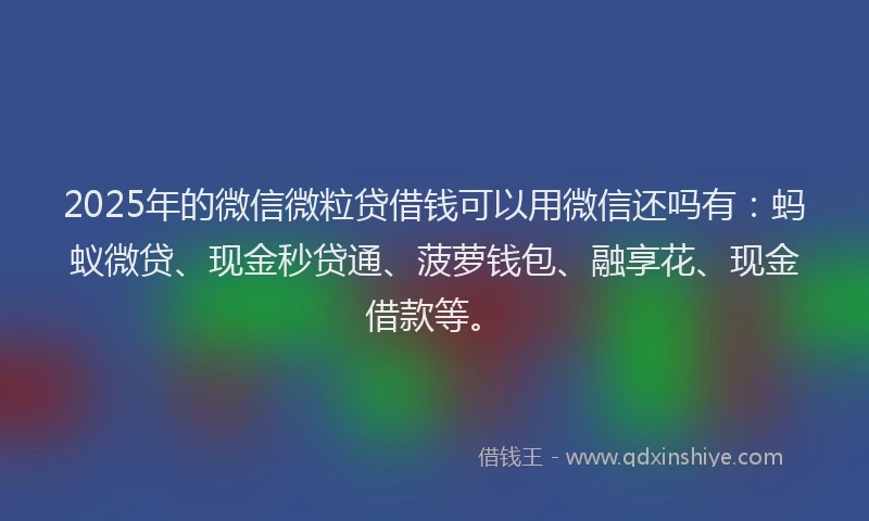 2025年的微信微粒贷借钱可以用微信还吗有：蚂蚁微贷、现金秒贷通、菠萝钱包、融享花、现金借款等。