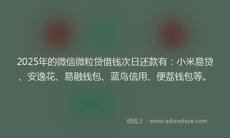 2025年的微信微粒贷借钱次日还款有：小米易贷、安逸花、易融钱包、蓝鸟信用、便荔钱包等。