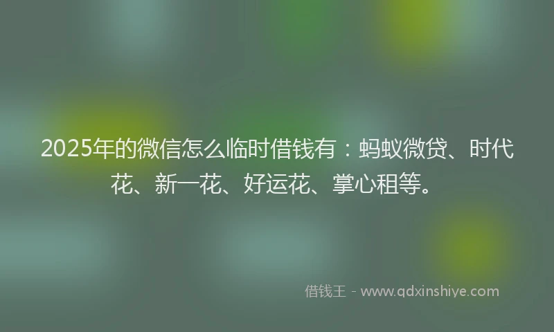 2025年的微信怎么临时借钱有：蚂蚁微贷、时代花、新一花、好运花、掌心租等。
