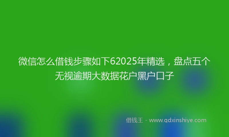 微信怎么借钱步骤如下62025年精选，盘点五个无视逾期大数据花户黑户口子