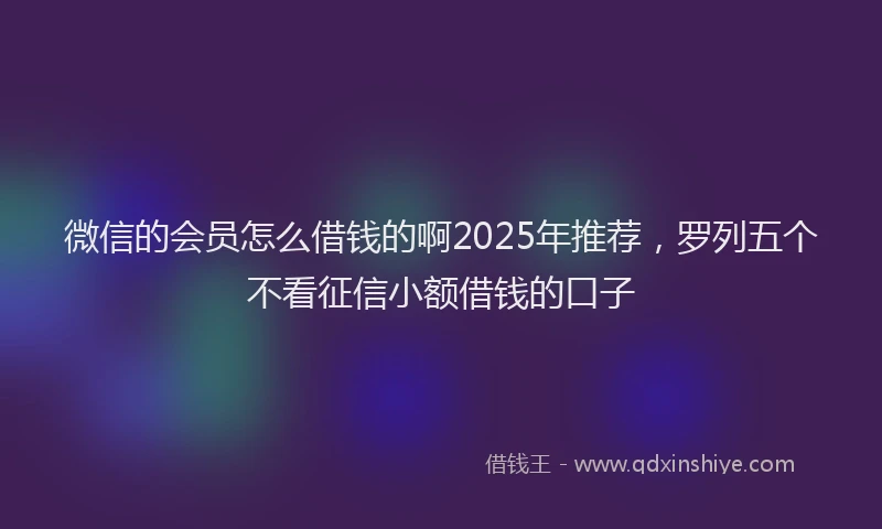 微信的会员怎么借钱的啊2025年推荐，罗列五个不看征信小额借钱的口子