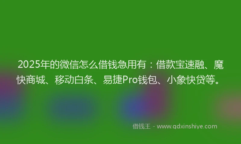 2025年的微信怎么借钱急用有：借款宝速融、魔快商城、移动白条、易捷Pro钱包、小象快贷等。