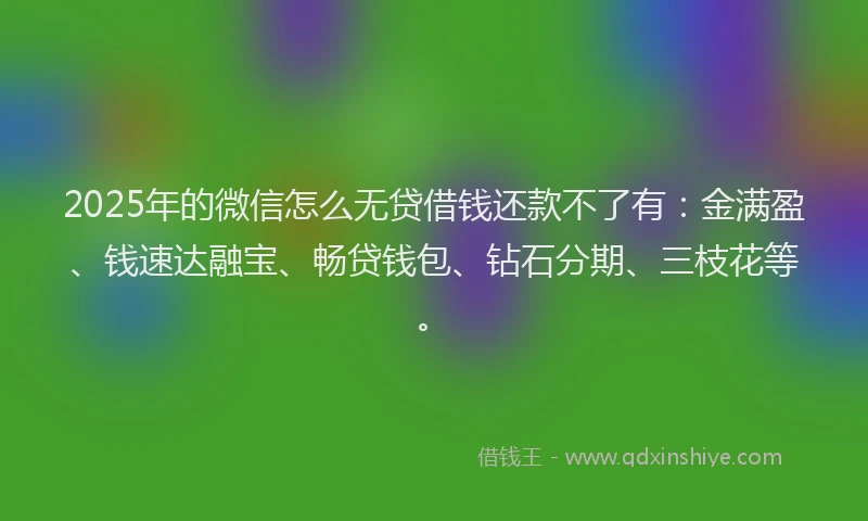 2025年的微信怎么无贷借钱还款不了有：金满盈、钱速达融宝、畅贷钱包、钻石分期、三枝花等。
