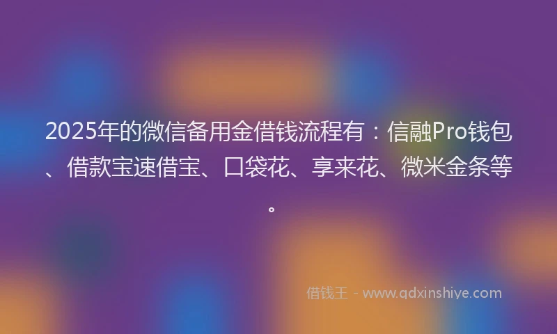 2025年的微信备用金借钱流程有：信融Pro钱包、借款宝速借宝、口袋花、享来花、微米金条等。