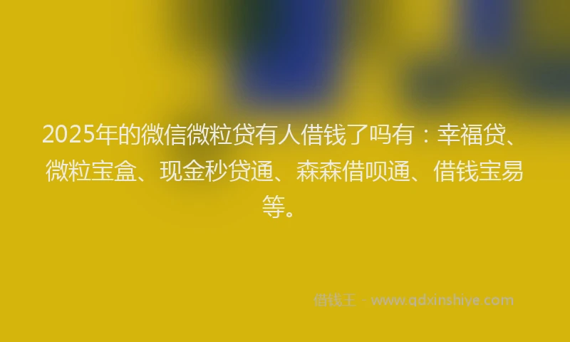 2025年的微信微粒贷有人借钱了吗有：幸福贷、微粒宝盒、现金秒贷通、森森借呗通、借钱宝易等。