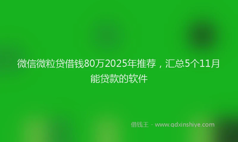 微信微粒贷借钱80万2025年推荐，汇总5个11月能贷款的软件