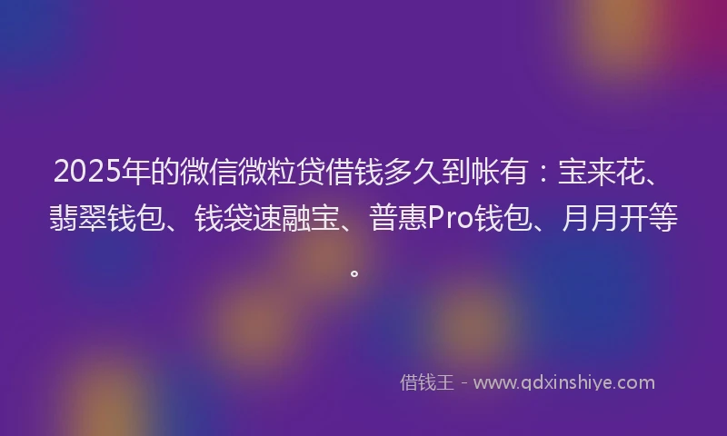 2025年的微信微粒贷借钱多久到帐有：宝来花、翡翠钱包、钱袋速融宝、普惠Pro钱包、月月开等。