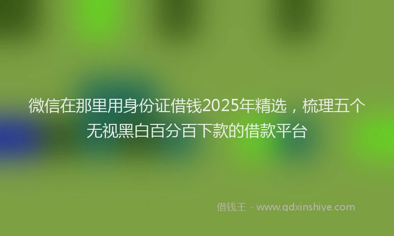 微信在那里用身份证借钱2025年精选，梳理五个无视黑白百分百下款的借款平台