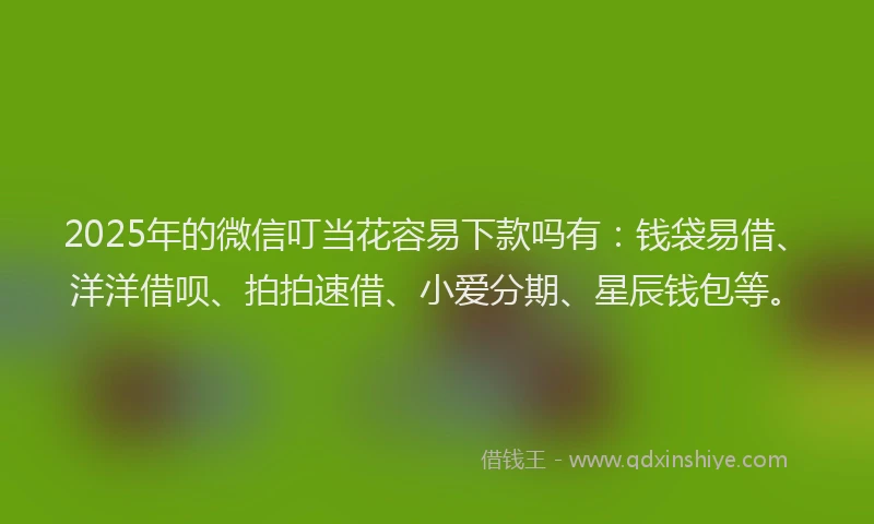 2025年的微信叮当花容易下款吗有：钱袋易借、洋洋借呗、拍拍速借、小爱分期、星辰钱包等。