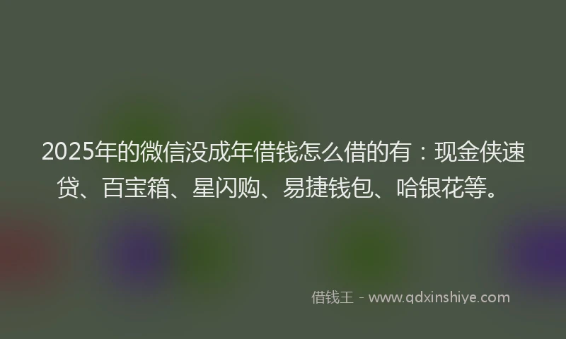 2025年的微信没成年借钱怎么借的有：现金侠速贷、百宝箱、星闪购、易捷钱包、哈银花等。