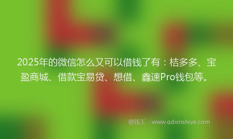 2025年的微信怎么又可以借钱了有：桔多多、宝盈商城、借款宝易贷、想借、鑫速Pro钱包等。
