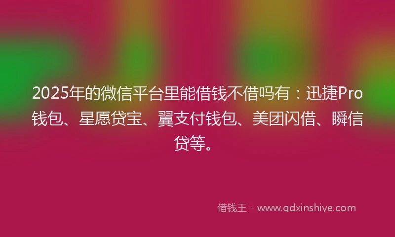 2025年的微信平台里能借钱不借吗有：迅捷Pro钱包、星愿贷宝、翼支付钱包、美团闪借、瞬信贷等。