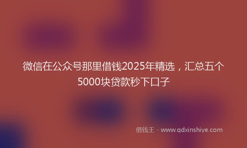 微信在公众号那里借钱2025年精选，汇总五个5000块贷款秒下口子