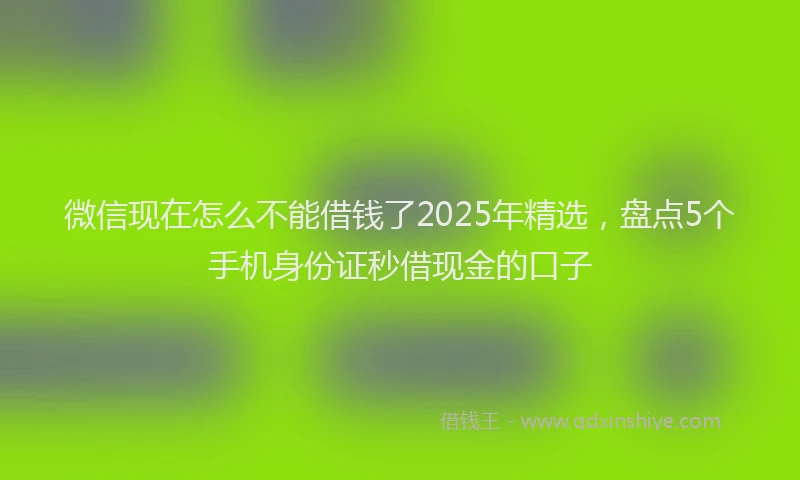 微信现在怎么不能借钱了2025年精选，盘点5个手机身份证秒借现金的口子