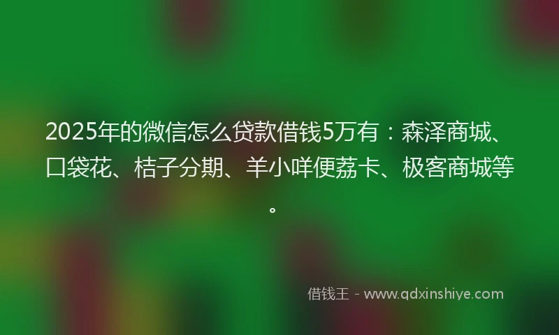 2025年的微信怎么贷款借钱5万有：森泽商城、口袋花、桔子分期、羊小咩便荔卡、极客商城等。