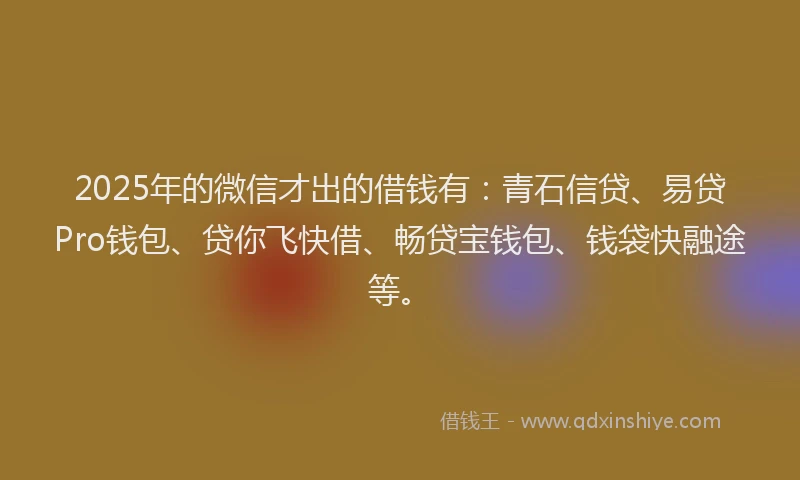 2025年的微信才出的借钱有：青石信贷、易贷Pro钱包、贷你飞快借、畅贷宝钱包、钱袋快融途等。