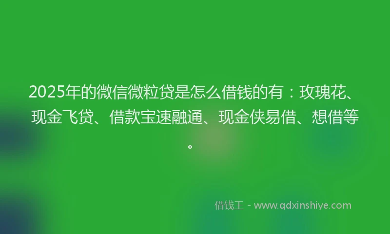 2025年的微信微粒贷是怎么借钱的有：玫瑰花、现金飞贷、借款宝速融通、现金侠易借、想借等。