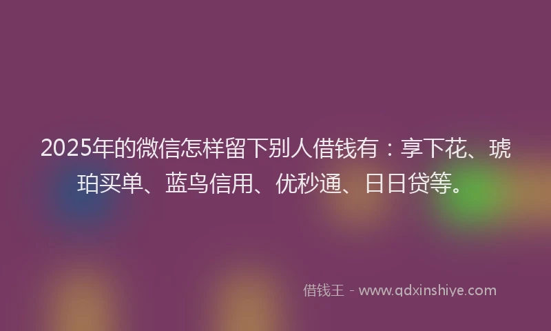 2025年的微信怎样留下别人借钱有：享下花、琥珀买单、蓝鸟信用、优秒通、日日贷等。