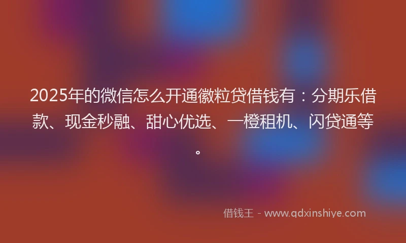 2025年的微信怎么开通徽粒贷借钱有：分期乐借款、现金秒融、甜心优选、一橙租机、闪贷通等。