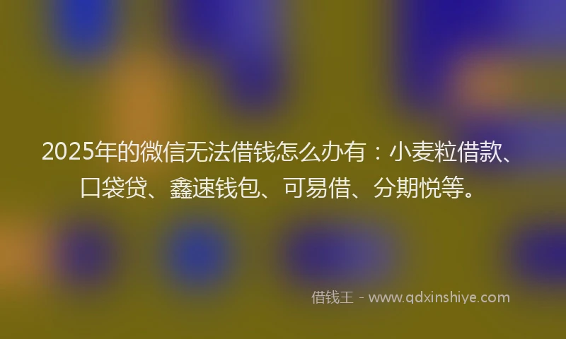 2025年的微信无法借钱怎么办有：小麦粒借款、口袋贷、鑫速钱包、可易借、分期悦等。