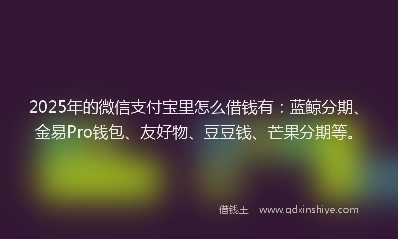 2025年的微信支付宝里怎么借钱有：蓝鲸分期、金易Pro钱包、友好物、豆豆钱、芒果分期等。