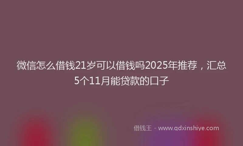 微信怎么借钱21岁可以借钱吗2025年推荐，汇总5个11月能贷款的口子