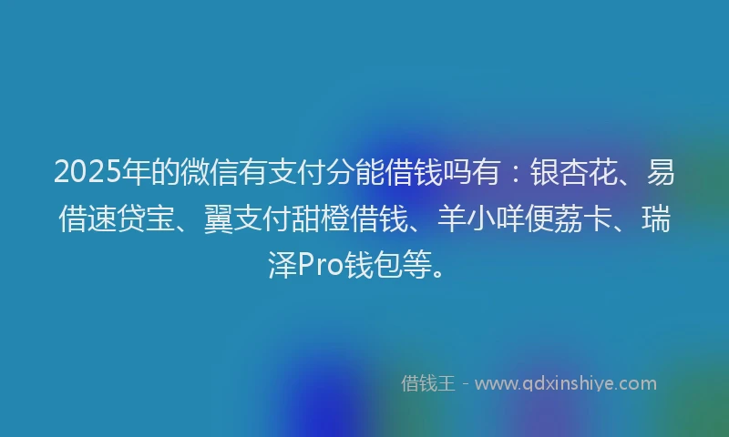2025年的微信有支付分能借钱吗有：银杏花、易借速贷宝、翼支付甜橙借钱、羊小咩便荔卡、瑞泽Pro钱包等。